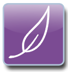 Other Elements